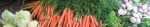 Blog Banner