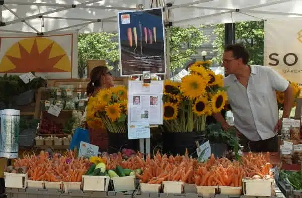 Vegetables at Sienna Farms