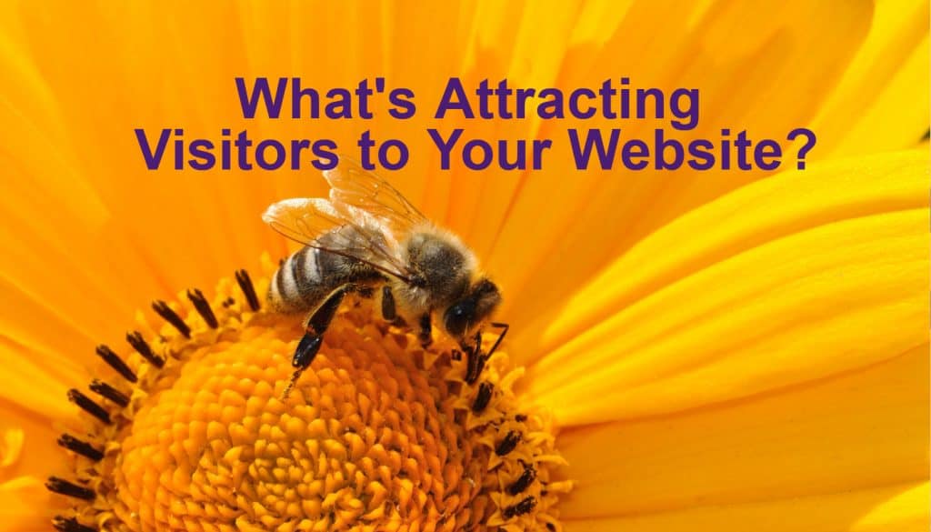 Illustration of bee attracted to a plant