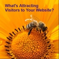 Bee is attracted to a flower