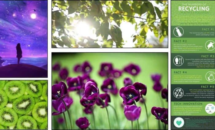 Photo collage showing impact of color