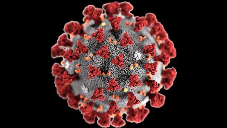 CDC illustration of coronavirus