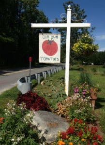 Tomatoes Sign at Cucurbit Farm