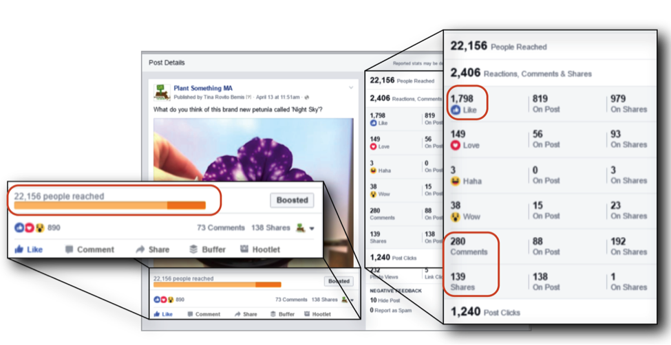 Example of facebook insights